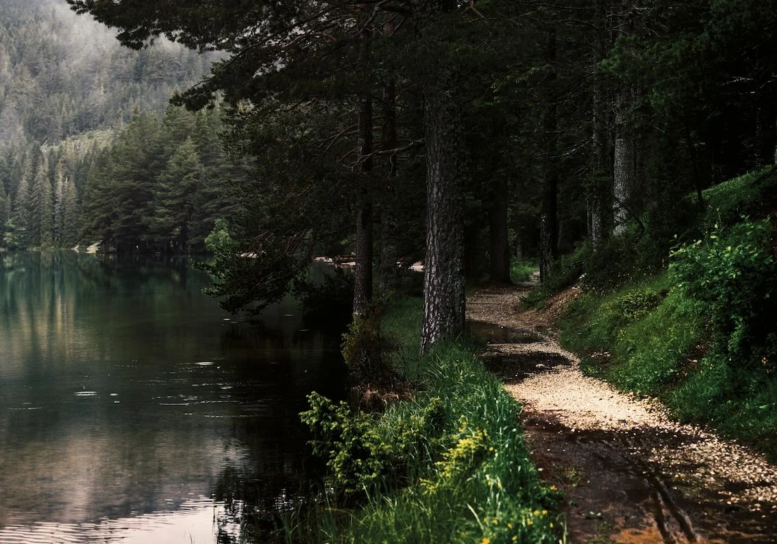 A narrow dirt trail runs alongside a calm lake with a backdrop of dense pine trees and forested hills.