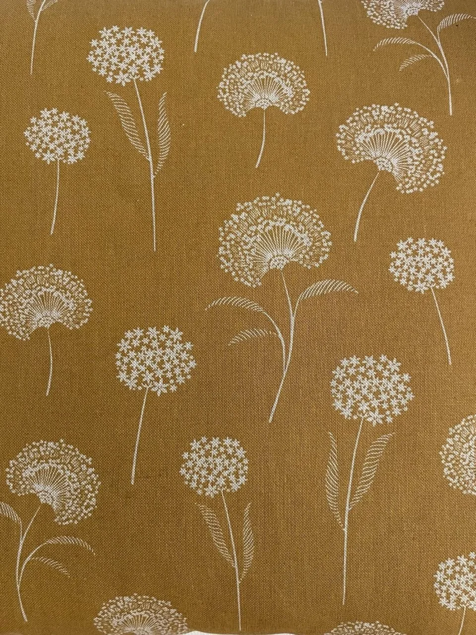 photo_2023-11-27 19.53.53.jpeg