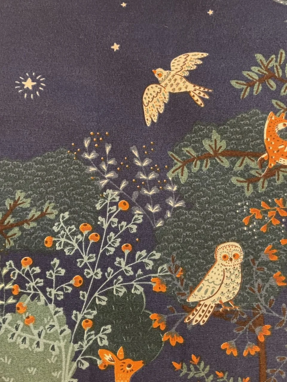 photo_2023-11-27 19.53.49.jpeg