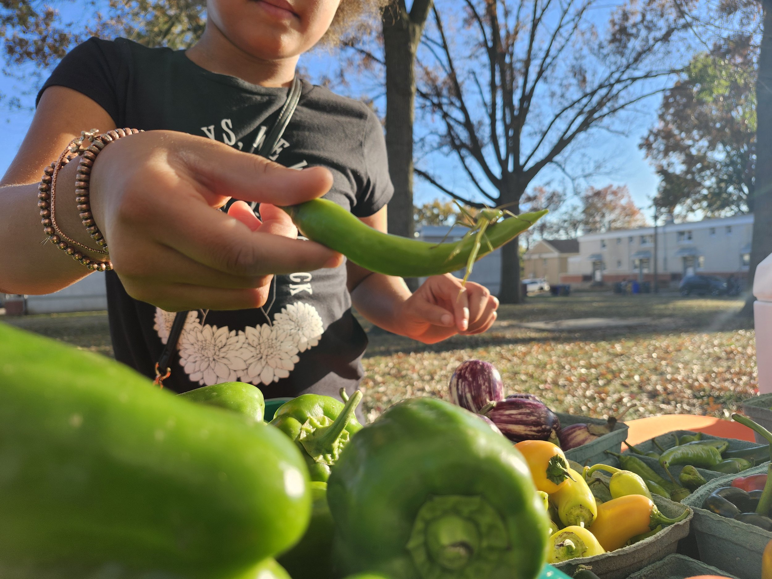 2024 Pilot Mobile Market with Trellis for Tomorrow
