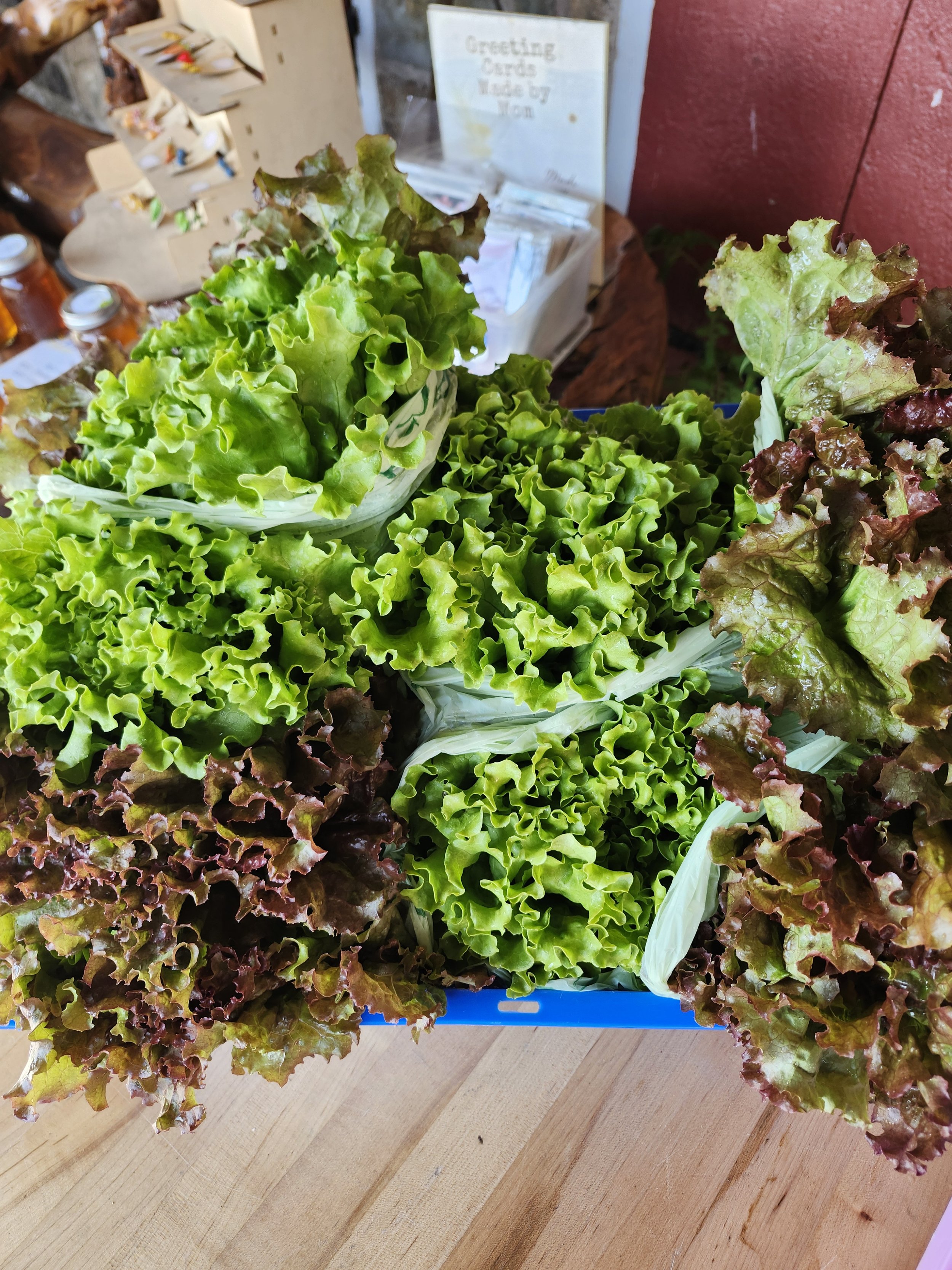 bunches of lettuce bagged