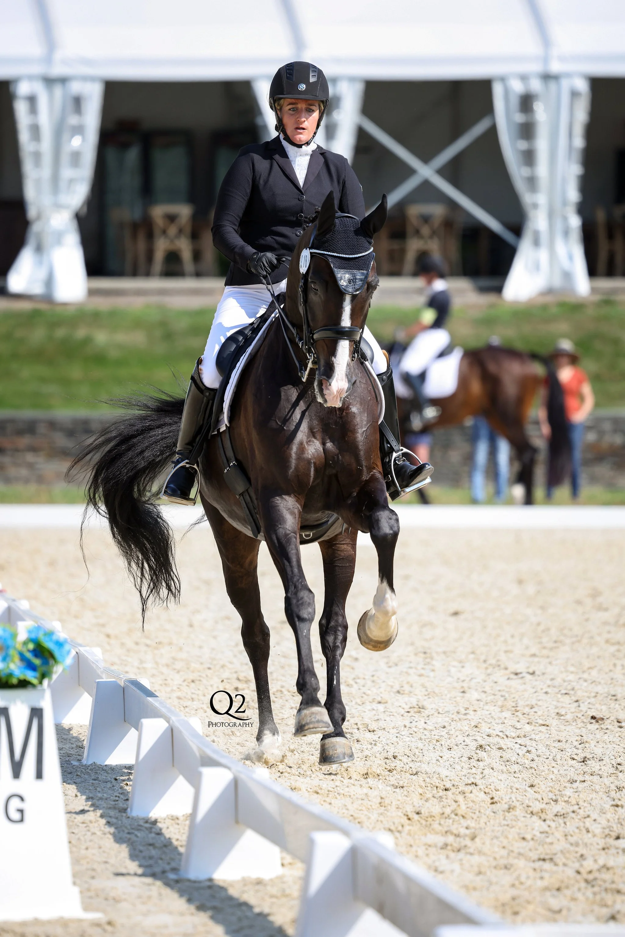 The War Horse’s Path: An Introduction to the Martial Origins of Dressage