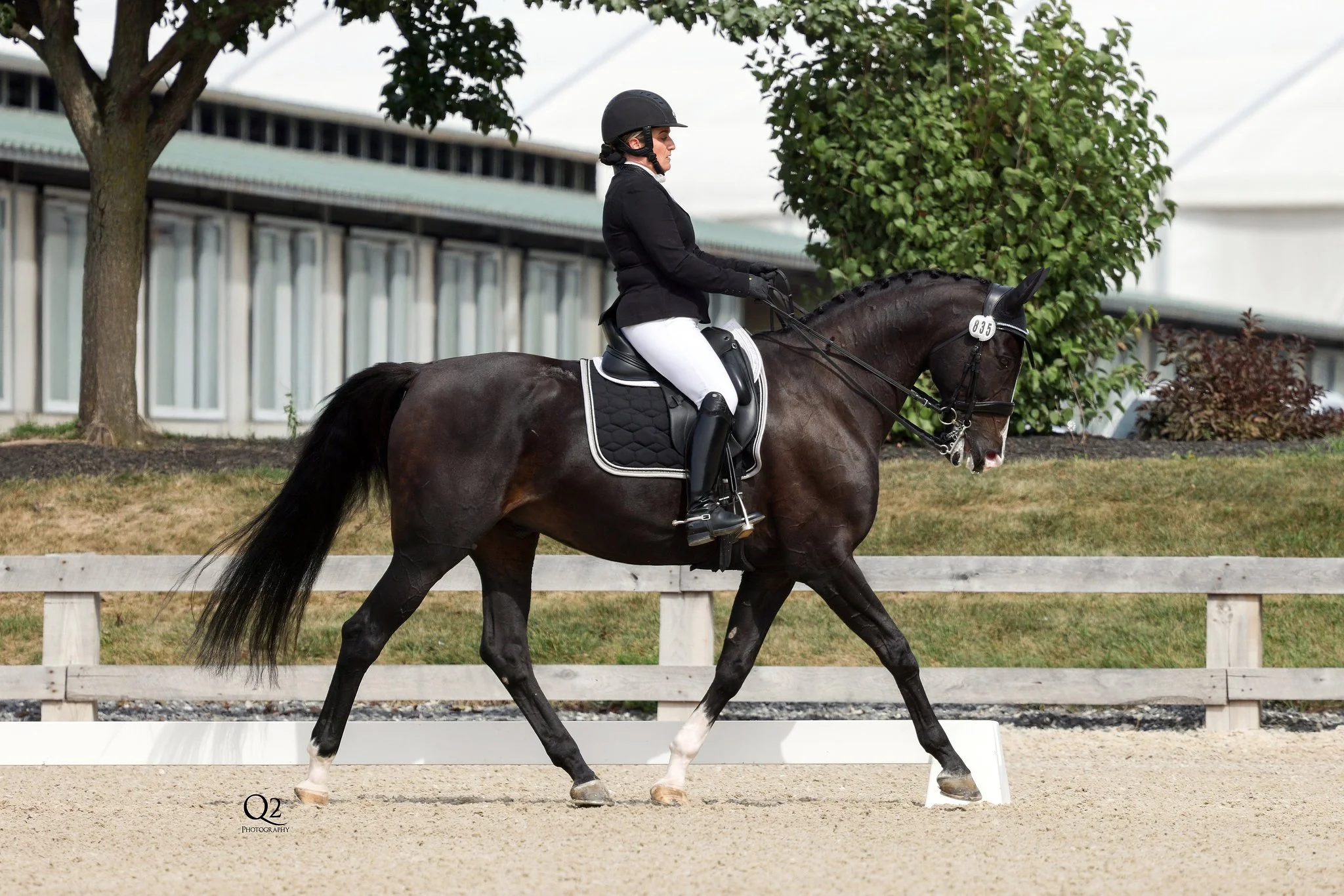 The Balanced Seat: Three Building Blocks for a Better Connection with Your Horse