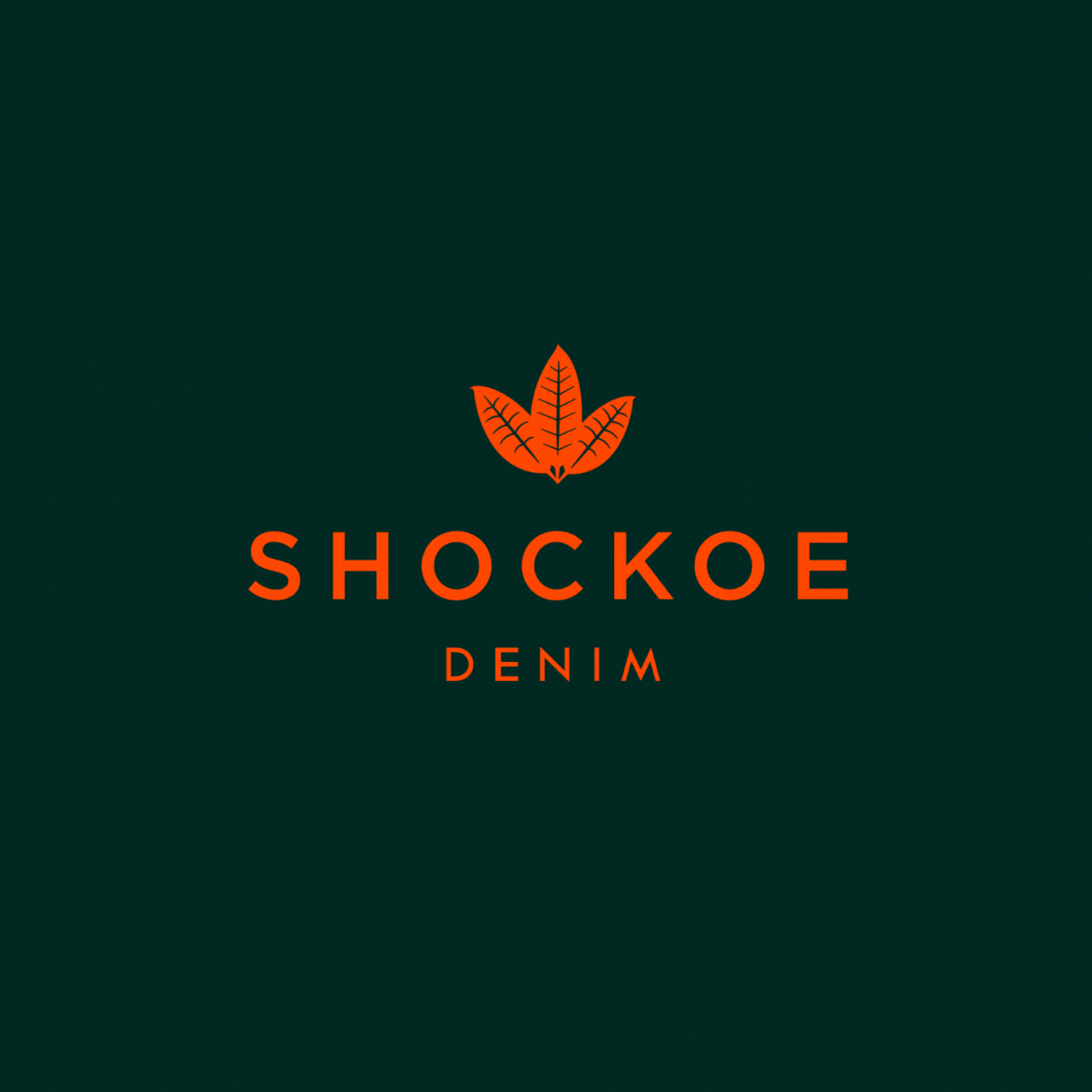 shockoe-sans.gif