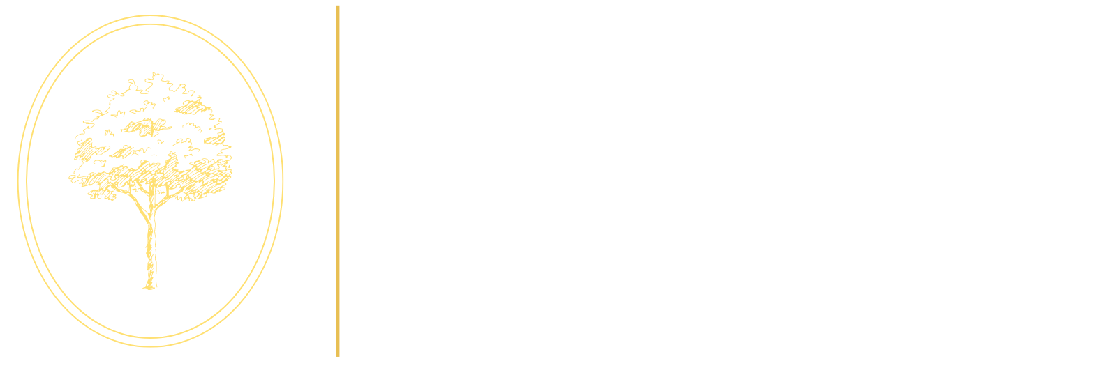 venelle home care logo
