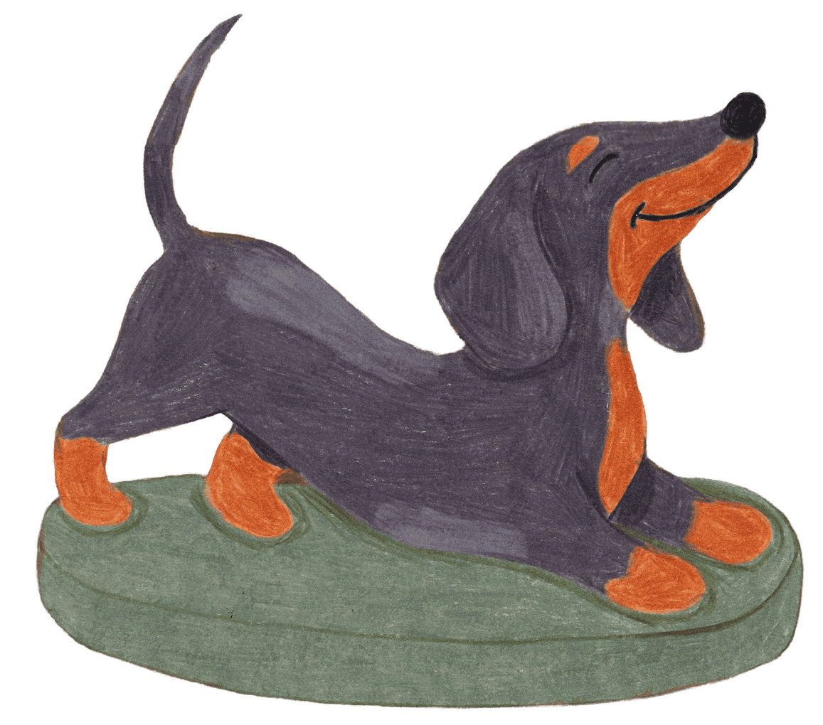 dolly the dog