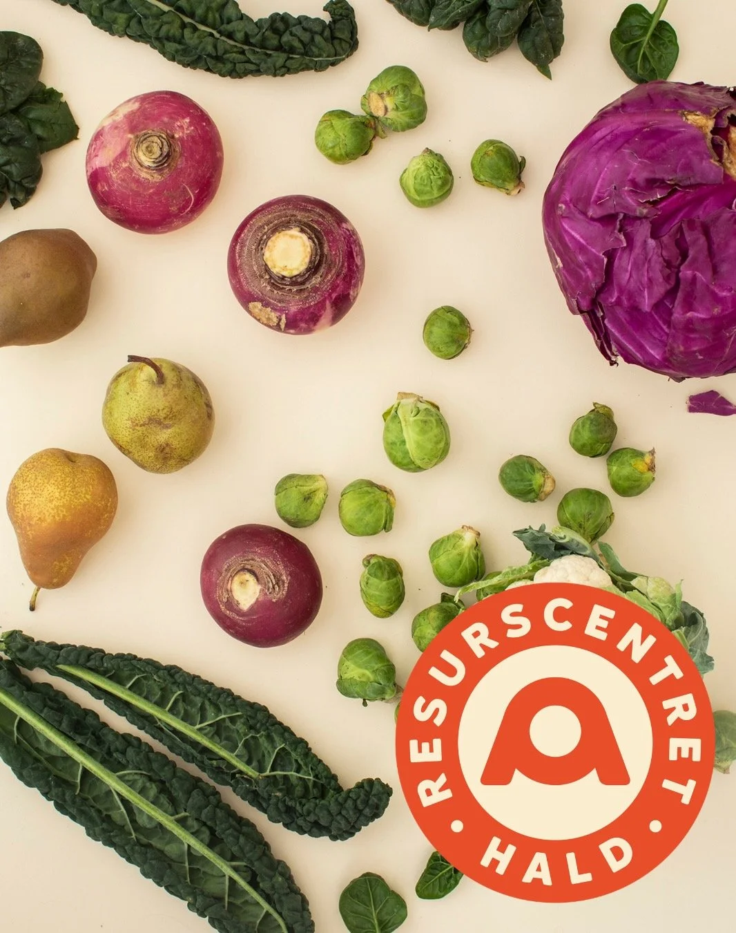 Årsmöte Vuosikokous