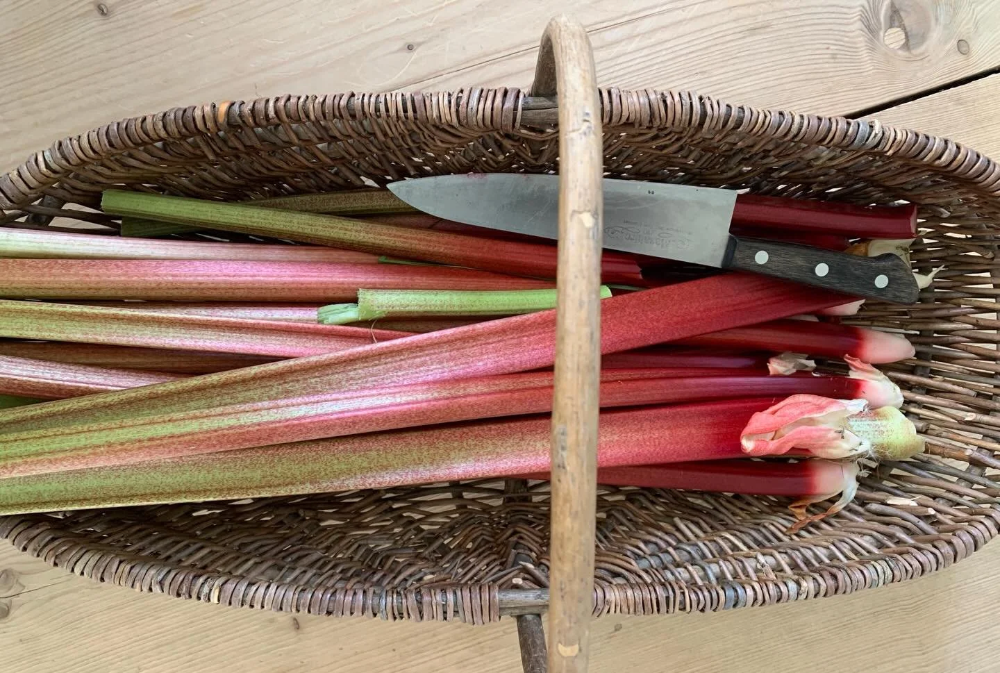 Snart blir det rabarbertider! Pian on taas raparperin parasta aikaa! Vi ordnar en kurs 💚
SPARA DATUM l&ouml;rdagen 23.5 lauantai MUISTA!
#rabarber #raparperi #mathantverk #artesaaniruoka #haldgastro