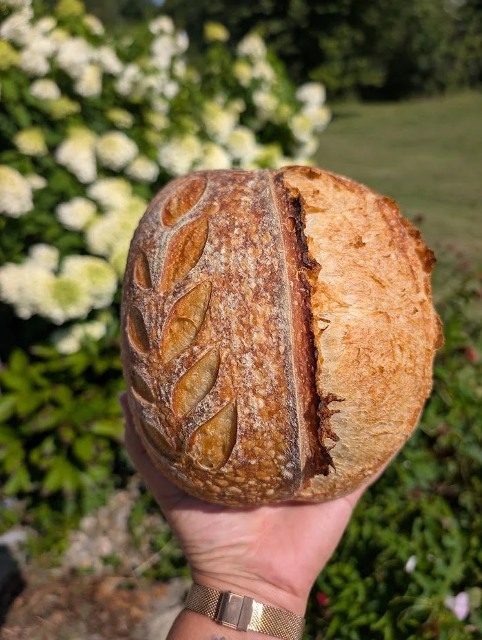 Beginner sourdough workshop at You're Fired!