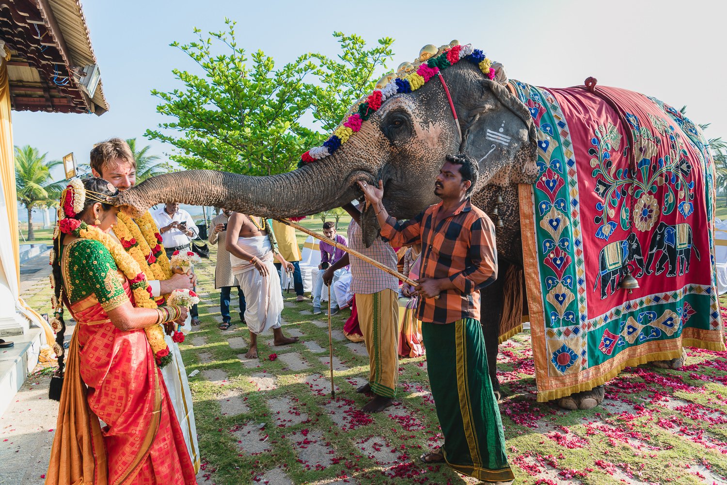 Nina-Jonathan-wedding-Le-Pondy-0290.JPG