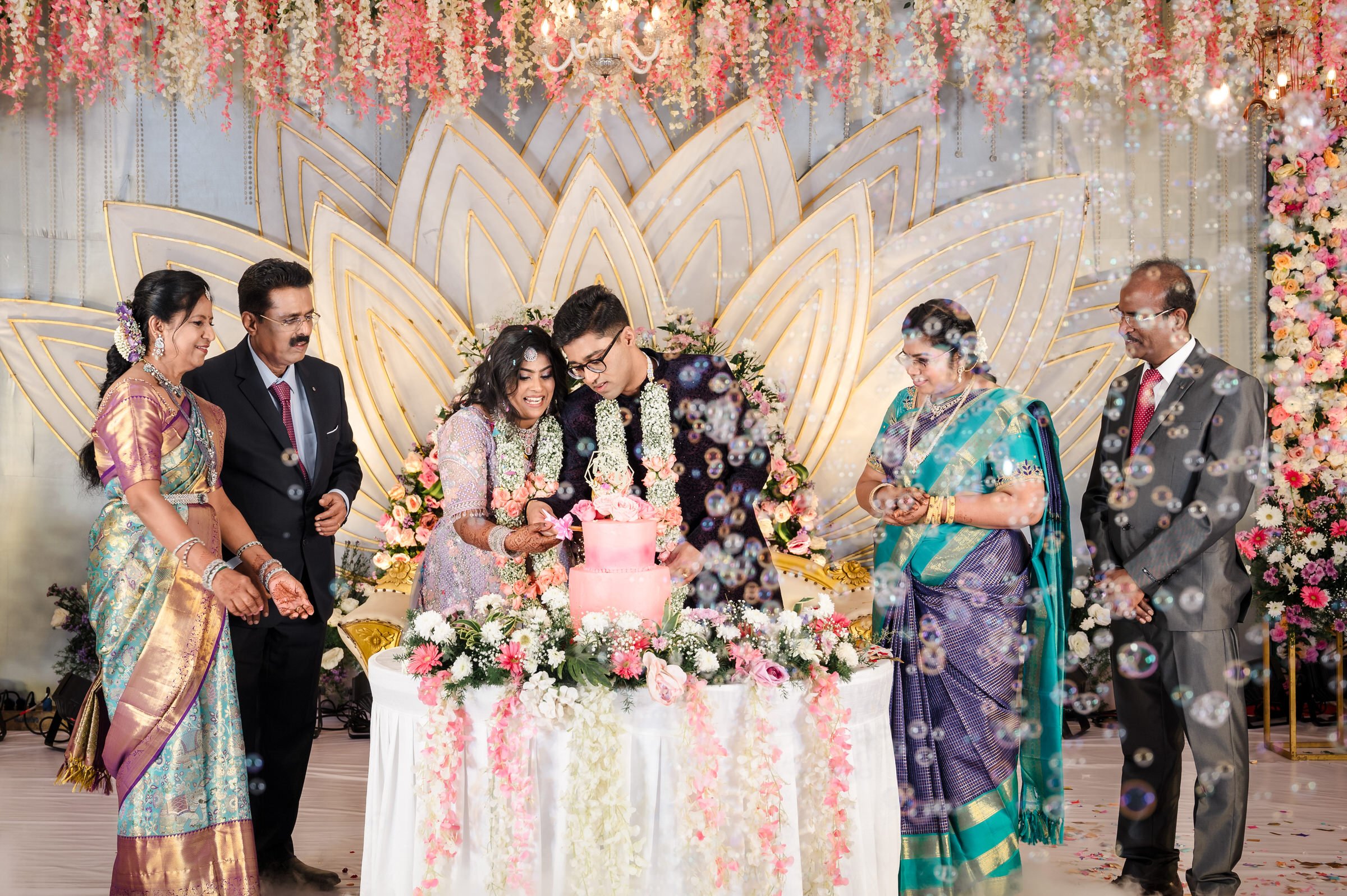 Balakrishnan-Gayathri-Reception-0352.jpg