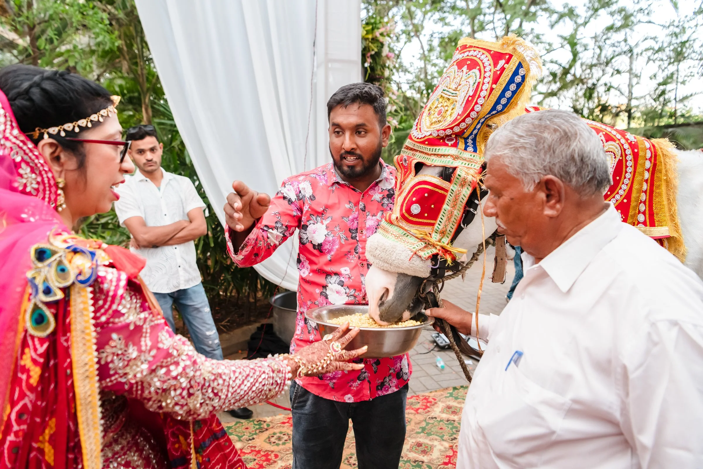Dimple-Akash-Club-Mahindra-Mysore-2640.jpg