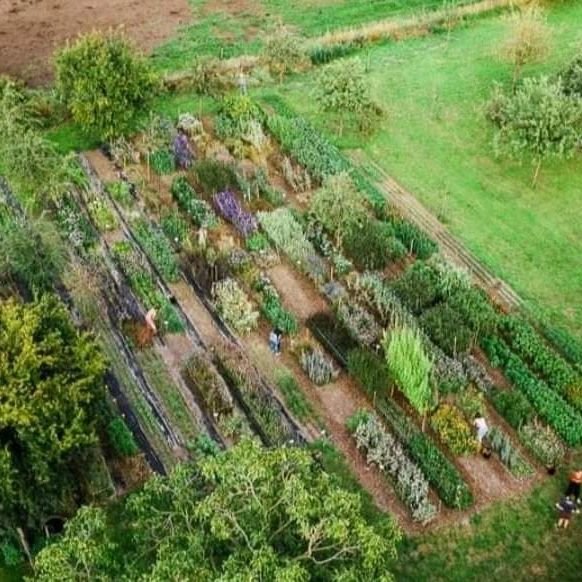 VELT ECO TUINDAGEN
1-2 juni van 10u-17 u

Bes en Bloem heet iedereen van harte welkom om kennis te maken met onze CSA plukboerderij van biologische bessen en bloemen te Lokeren.

CSA staat voor Community Supported Agriculture. 
Dit is een vorm van la