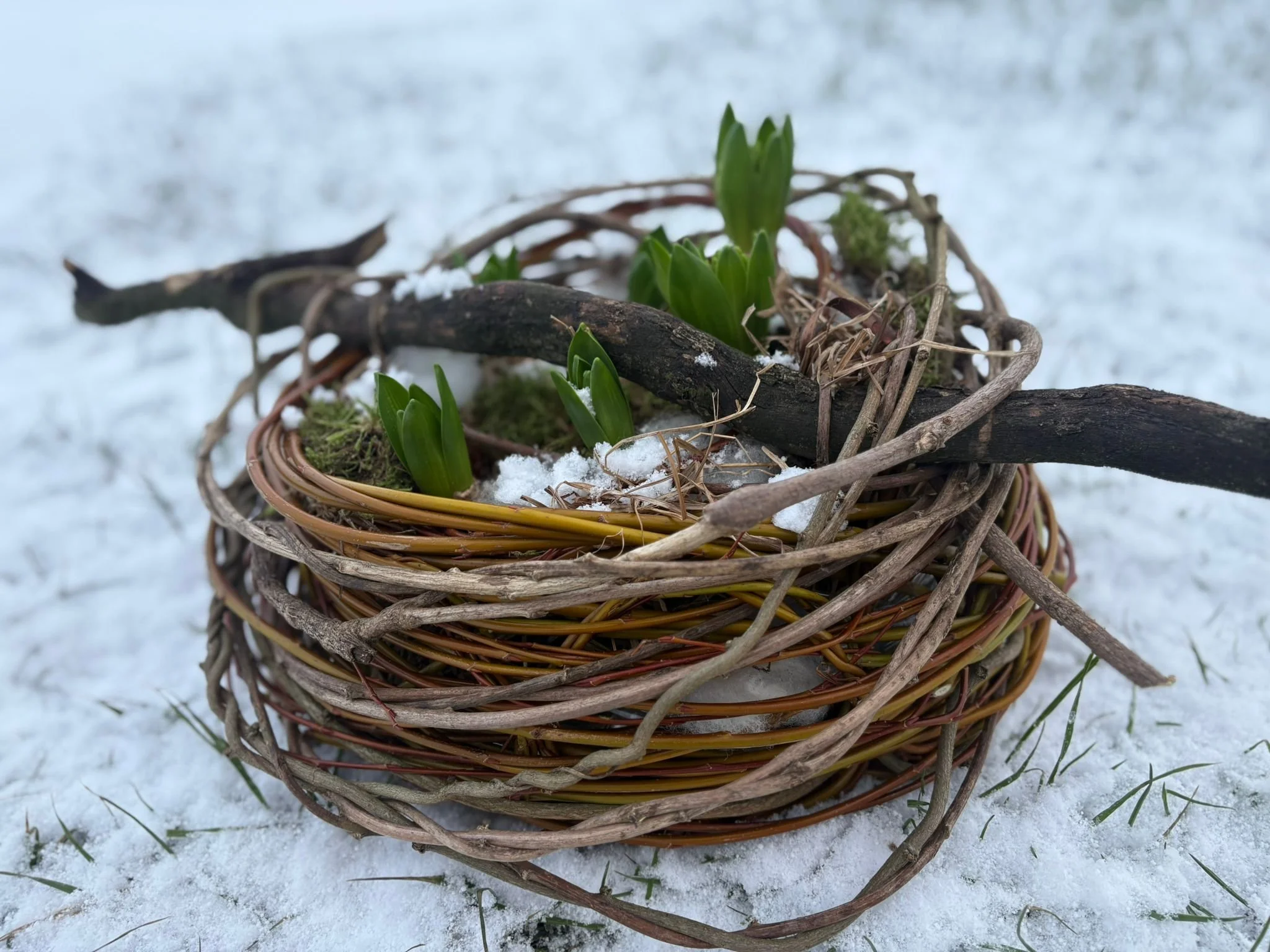 Workshop “Vlechten met bollen” (VOLZET)