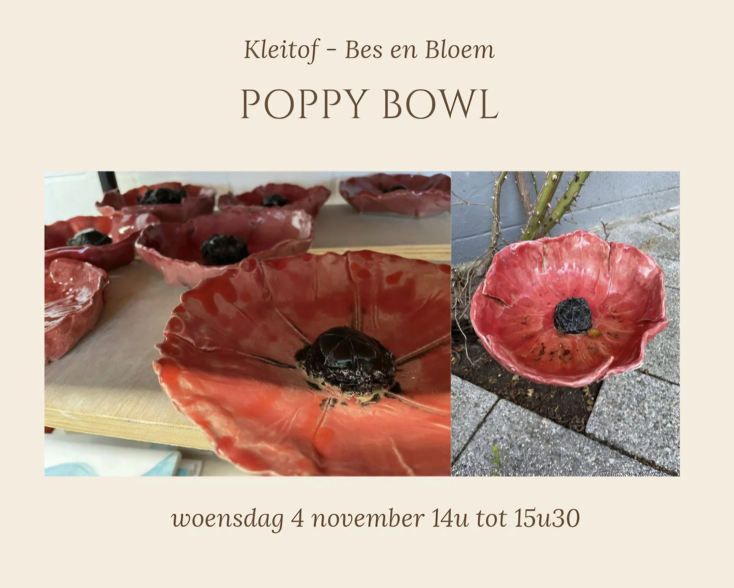 Workshop “Poppy Bowl”