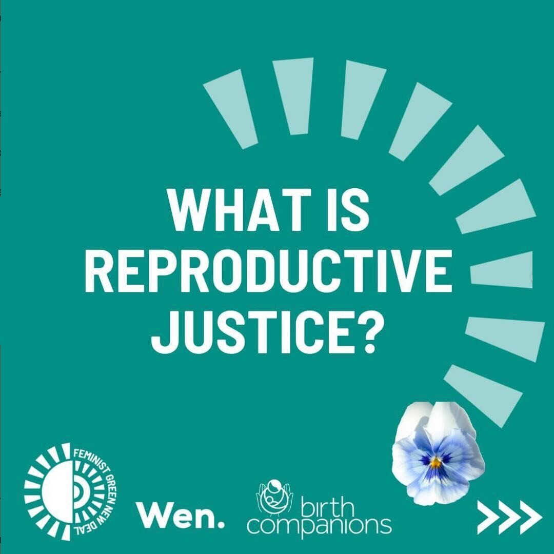 Reproductive Justice and the Climate Emergency ✊

Reproductive Justice is a framework that was developed in the 1990s by black and indigenous women in the US. It sets out that all women and birthing people have the right to:

🌻bodily autonomy; 
🌻ha