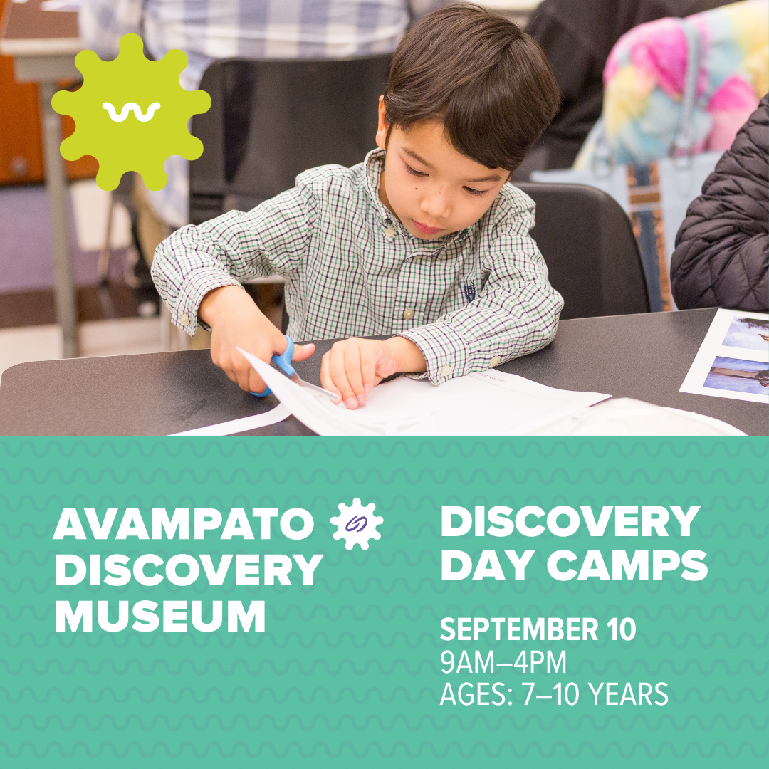 Discovery Day Camp