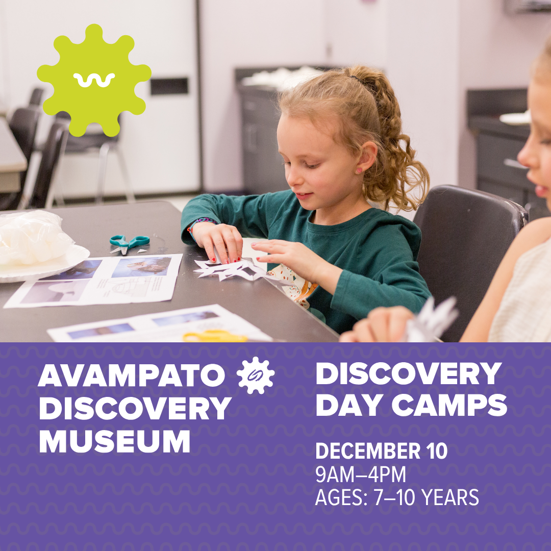 Discovery Day Camp