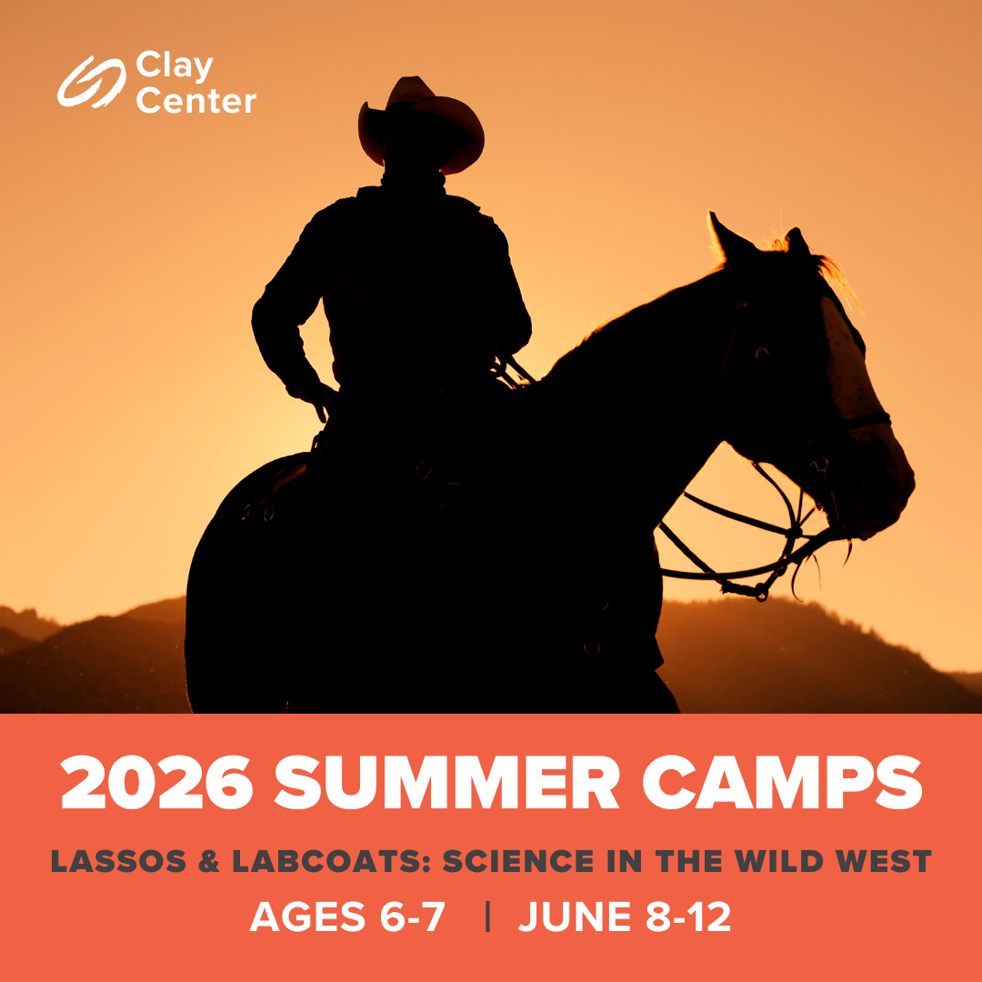 Summer Camp - Lassos and Labcoats: Science in the Wild West