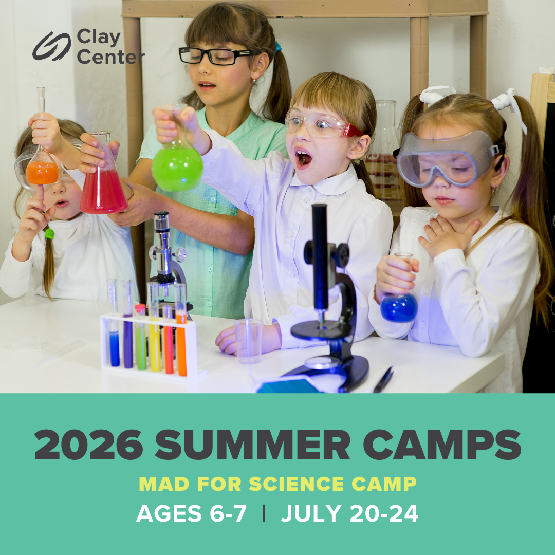 Summer Camp - Mad for Science Camp