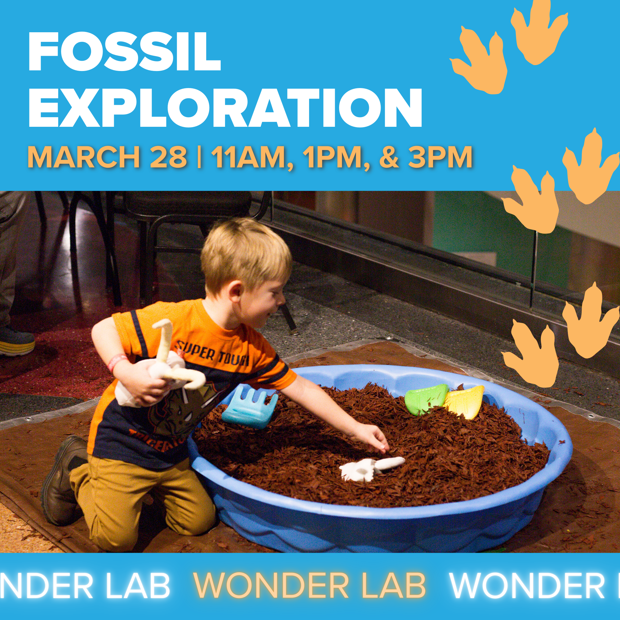 Wonder Lab: Fossil Exploration