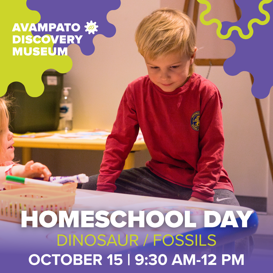 Homeschool Days: Dinosaur / Fossils