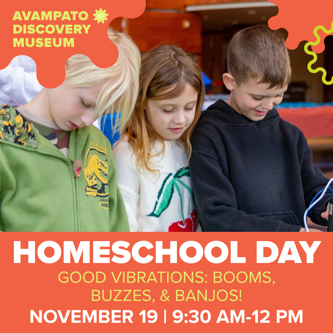 Homeschool Days: Good Vibrations: Booms, Buzzes, &amp; Banjos!