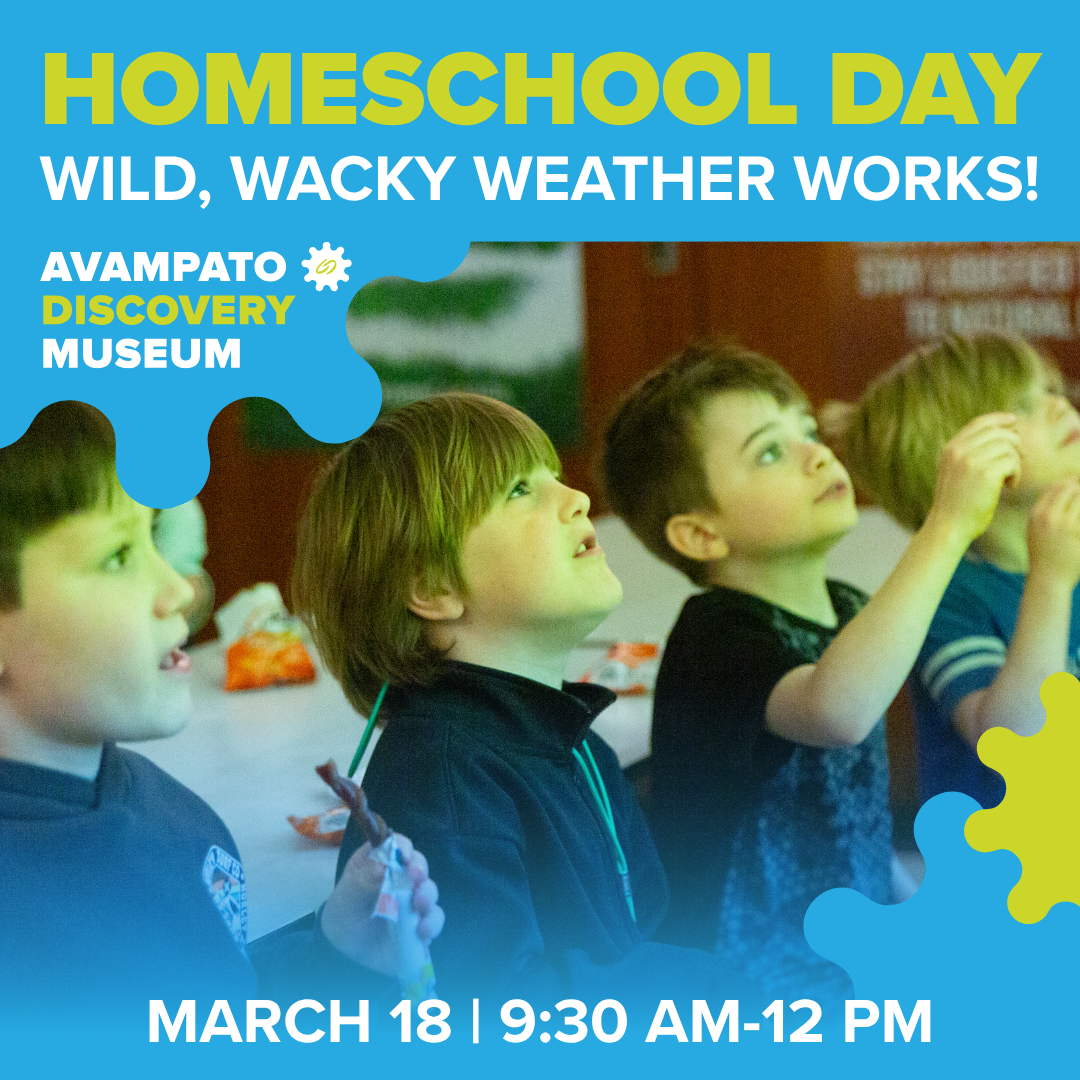Homeschool Days: Wild, Wacky Weather Works!