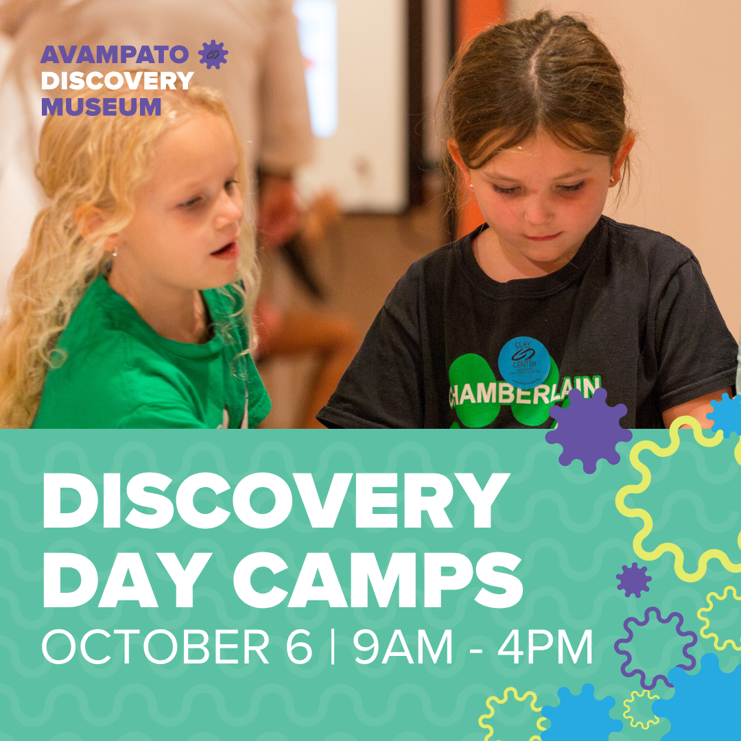 Discovery Day Camp