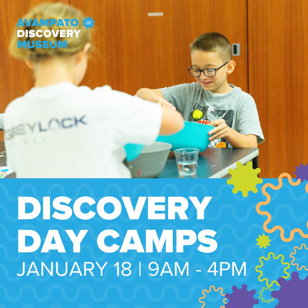 Discovery Day Camp