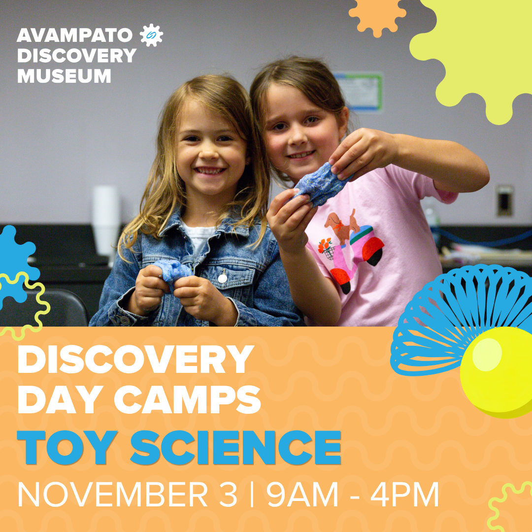 Discovery Day Camp: Toy Science