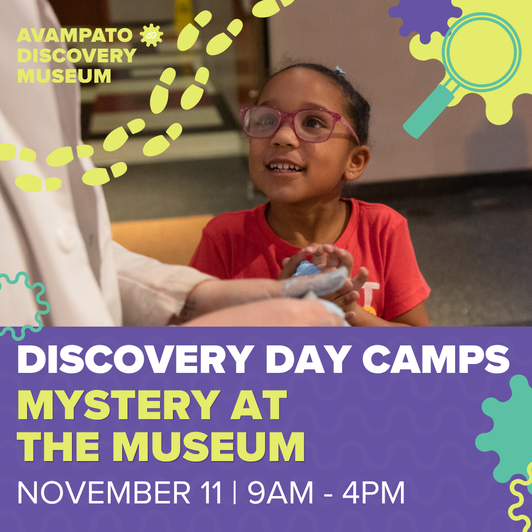 Discovery Day Camp: Mystery at the Museum