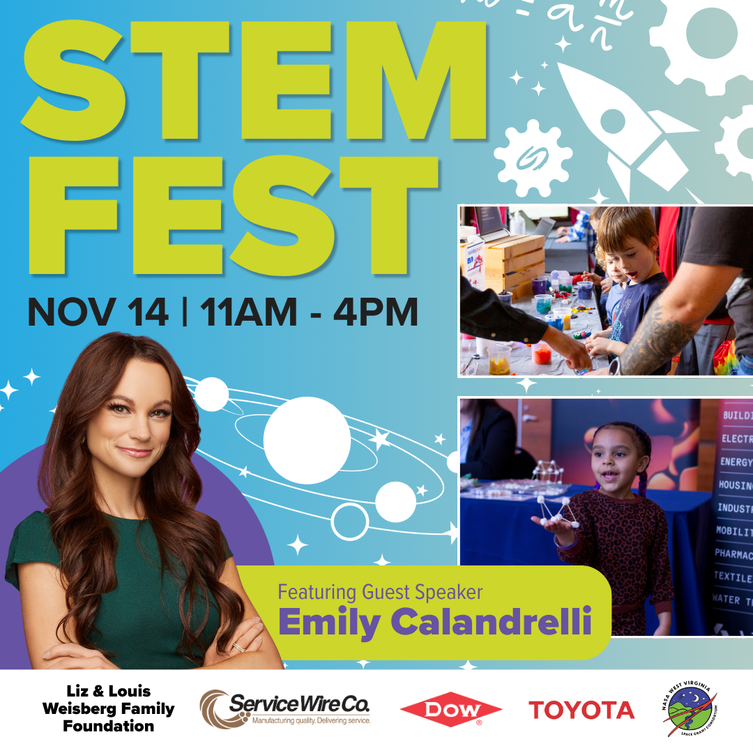 STEM FEST