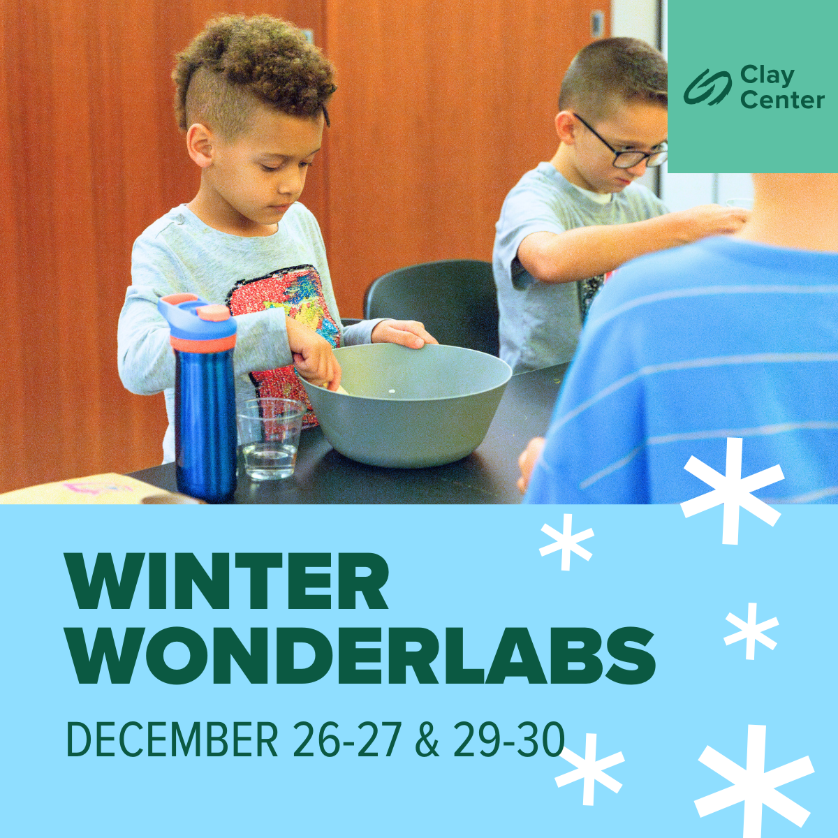 Winter WonderLabs - Arctic Art