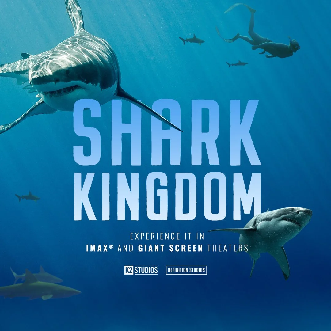Shark Kingdom
