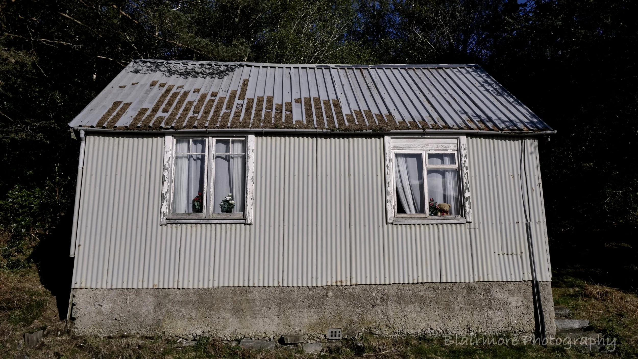 DSCF0871.jpg