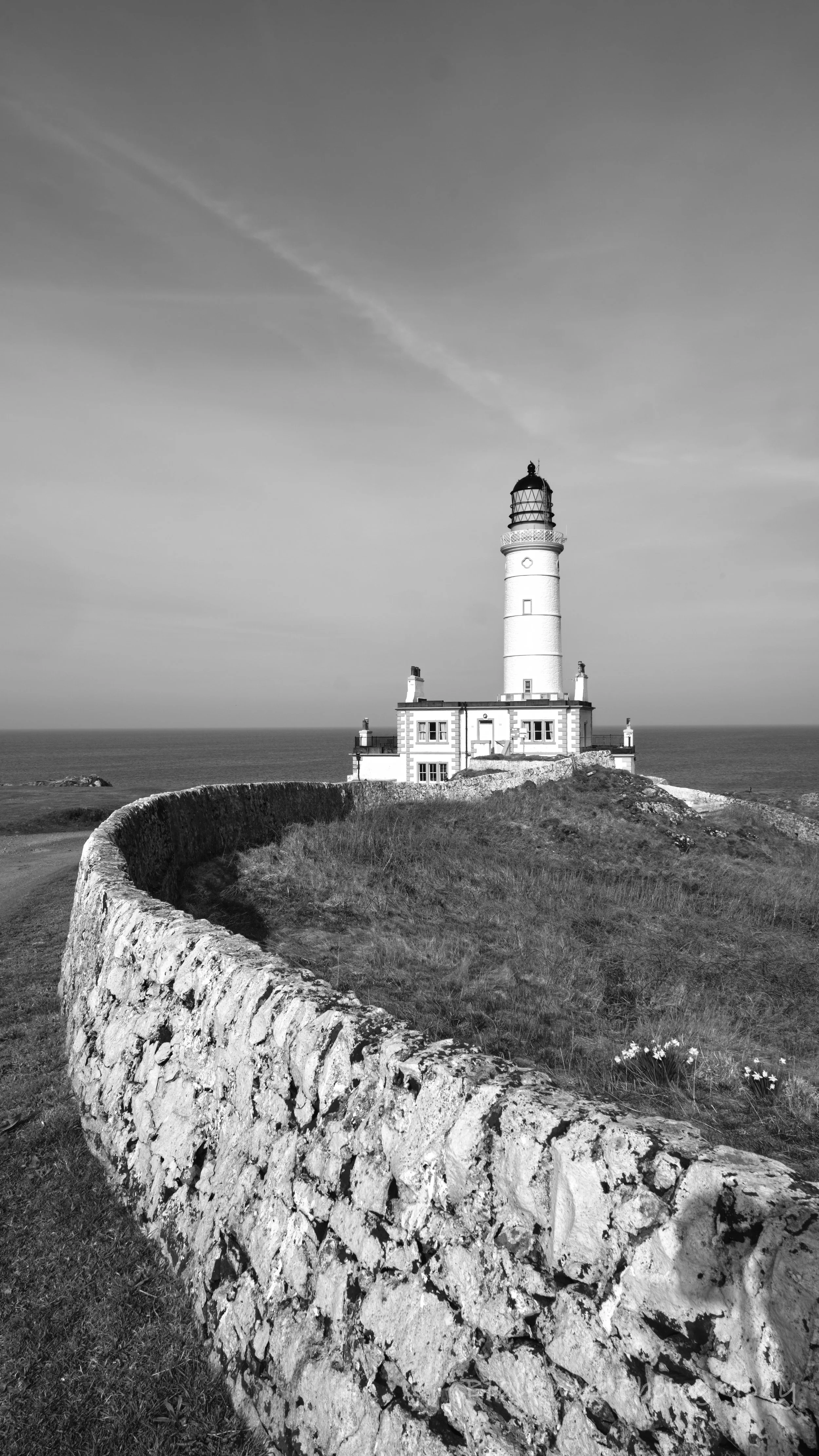 DSCF0161.jpg