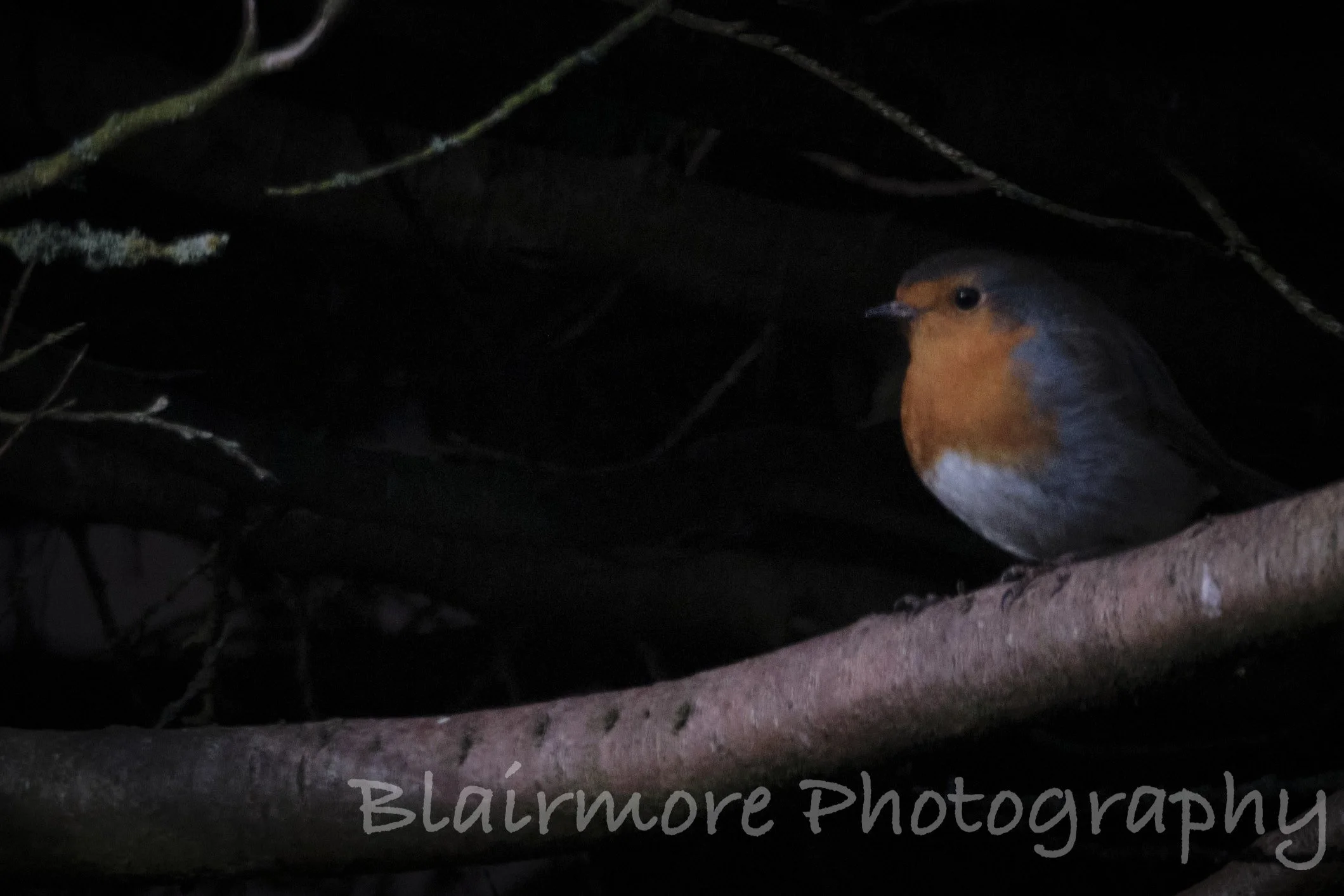 DSCF9811.jpg