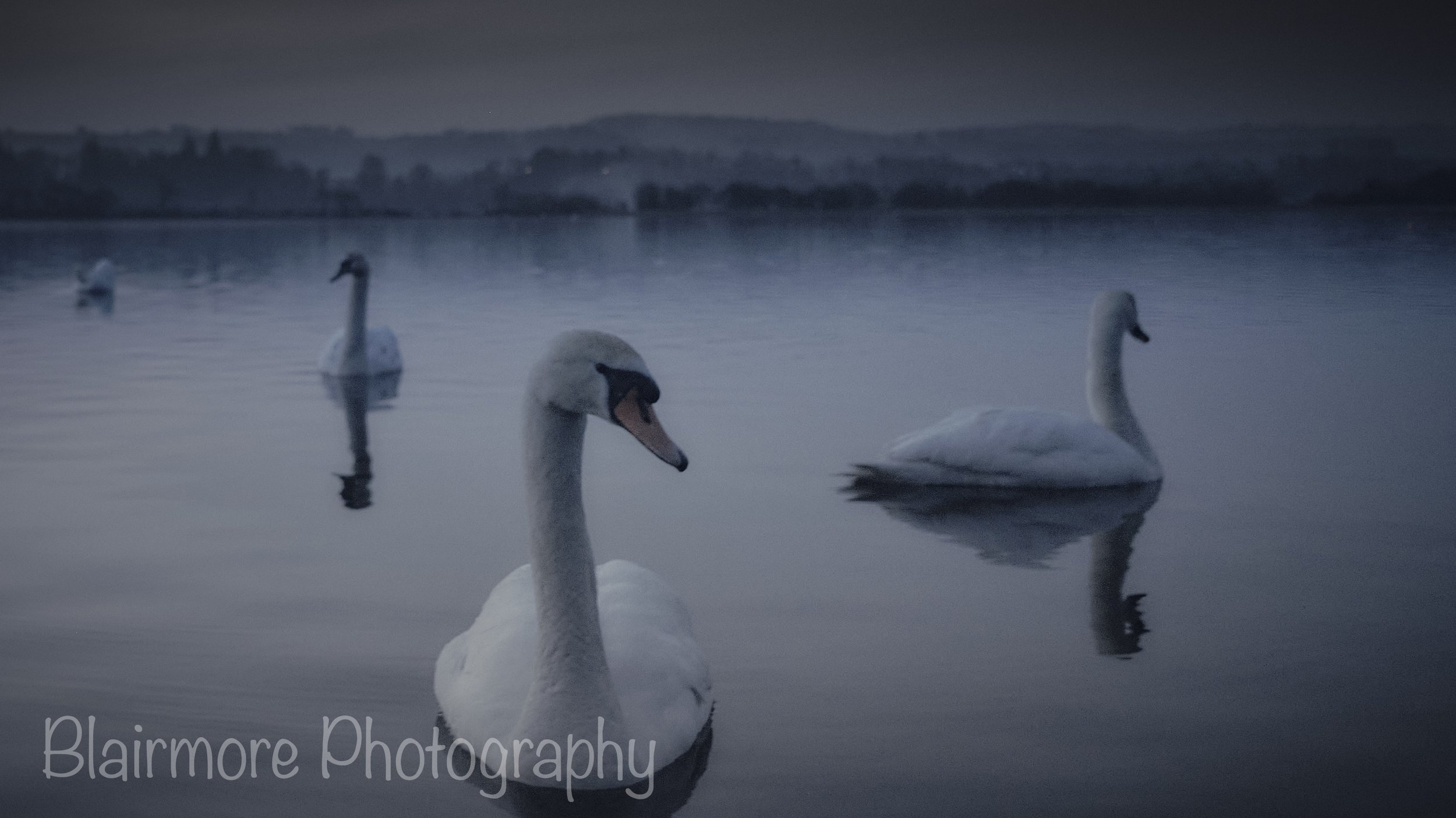 Lochwinnoch, Scotland