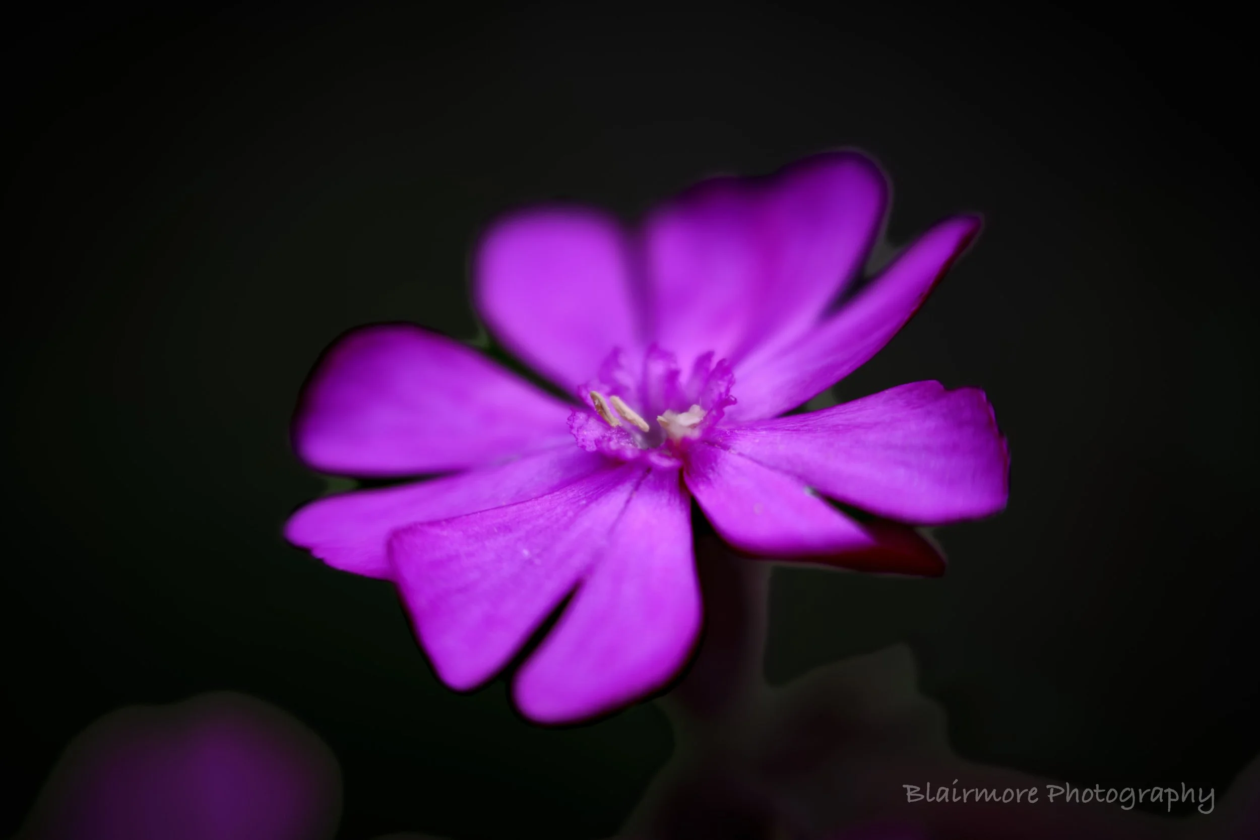 DSCF7427.jpg