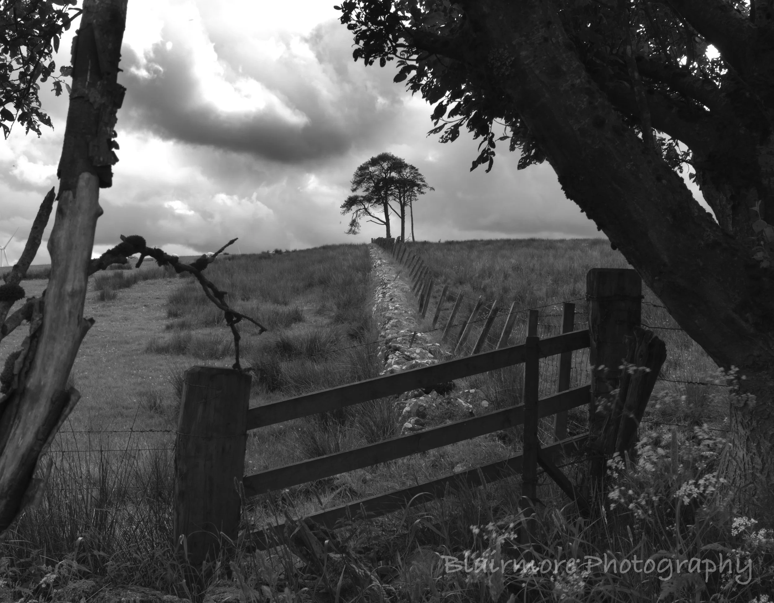 DSCF7990.jpg