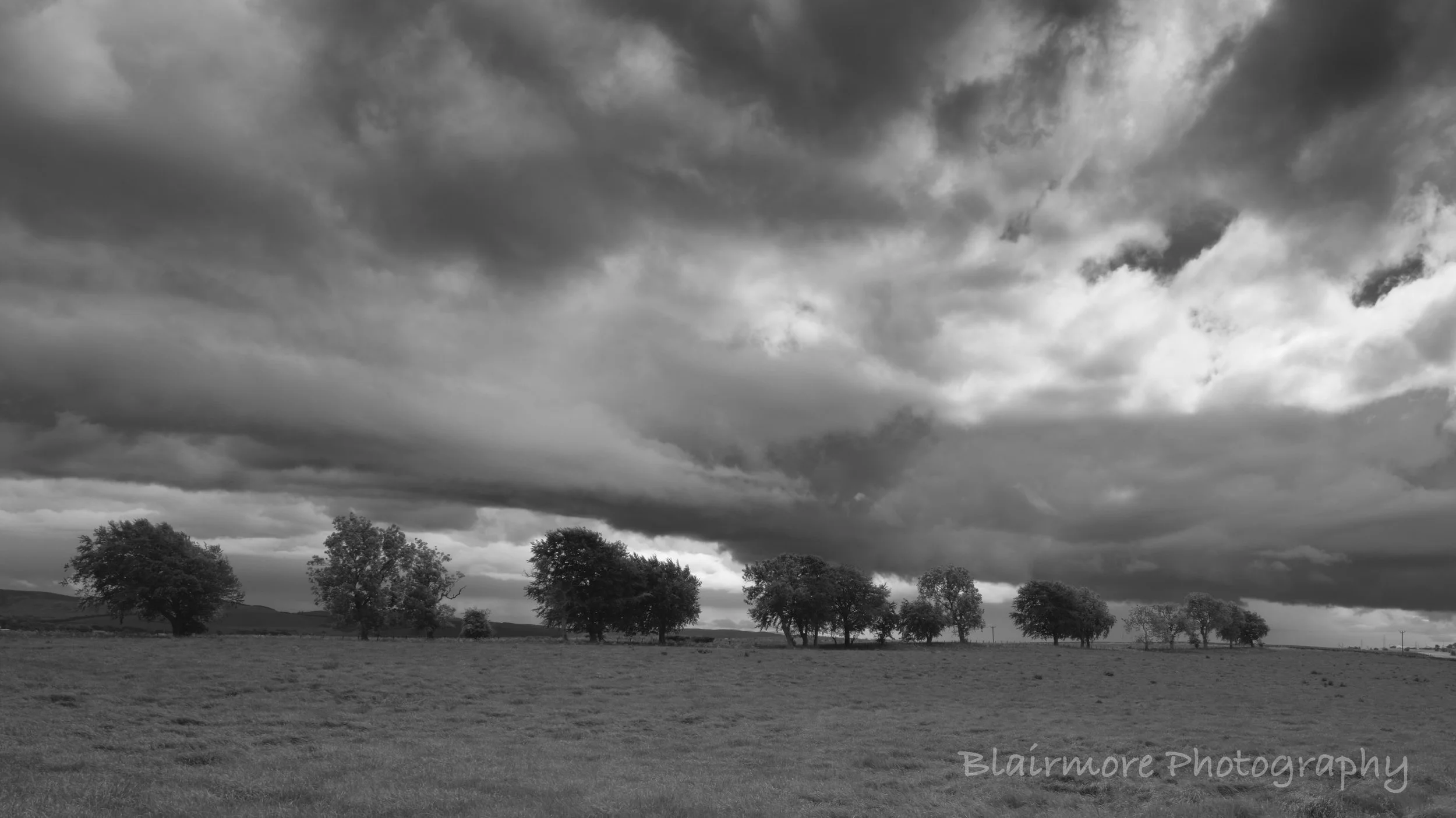 DSCF7939.jpg