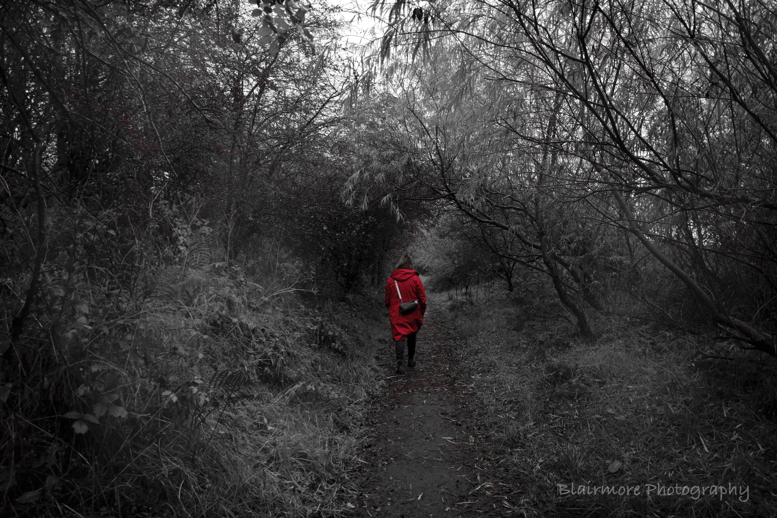 DSCF3721.jpg