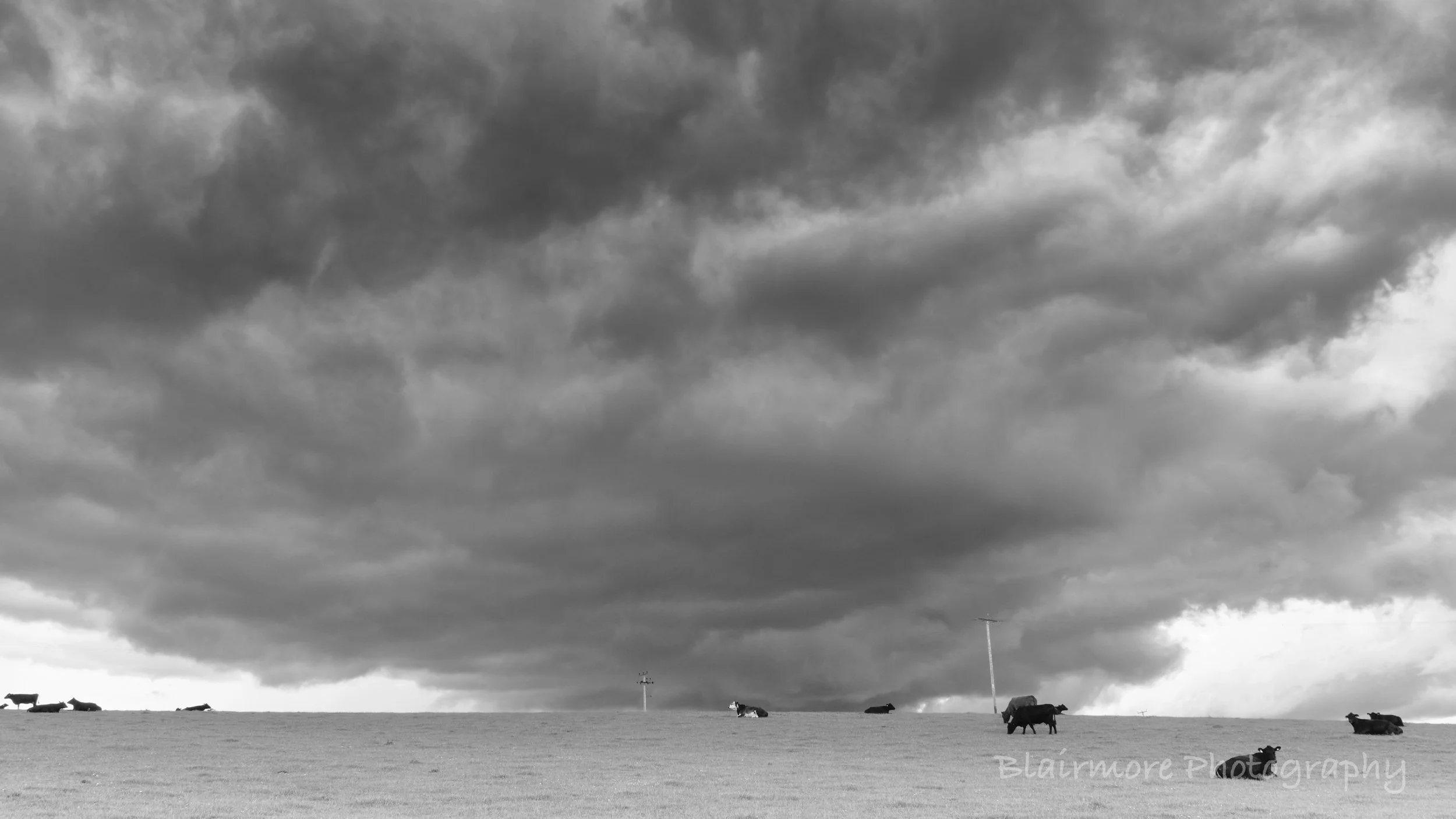 DSCF7934.jpg