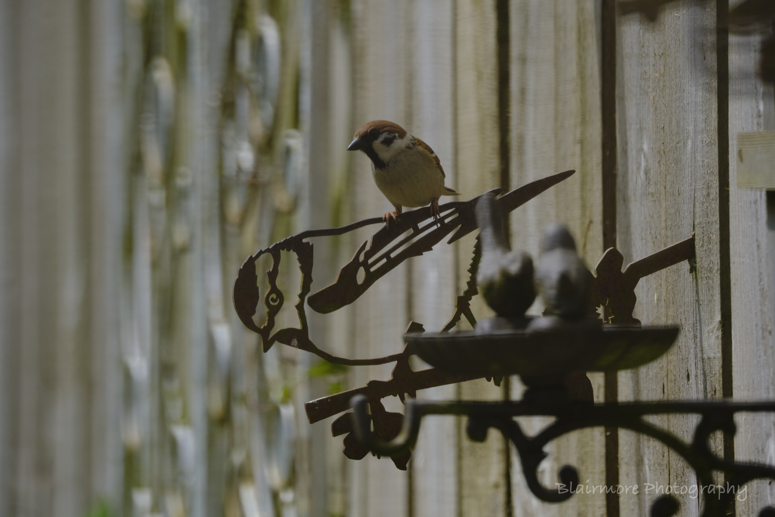 DSCF7560.jpg