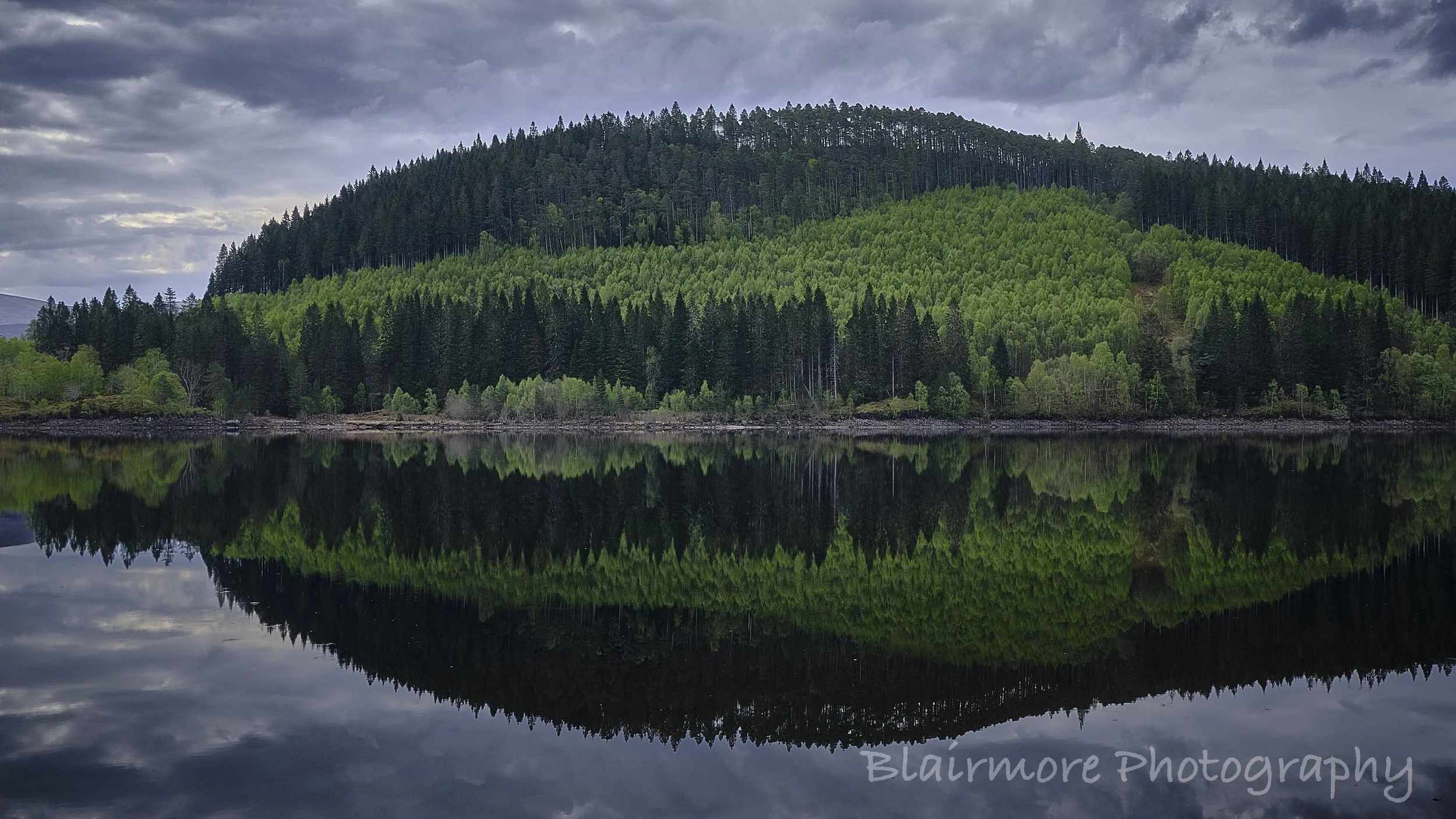DSCF0807.jpg