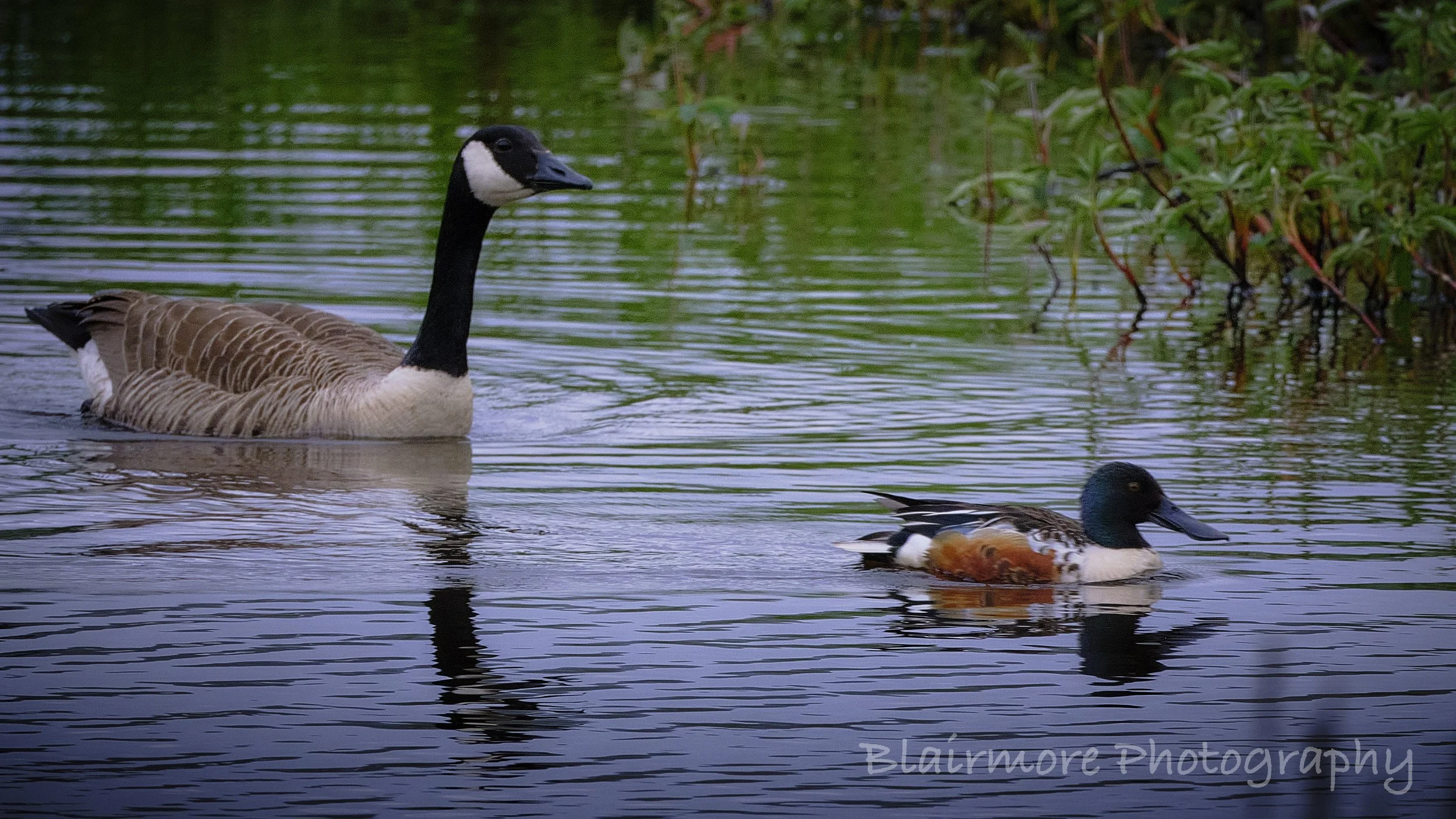 DSCF7152.jpg