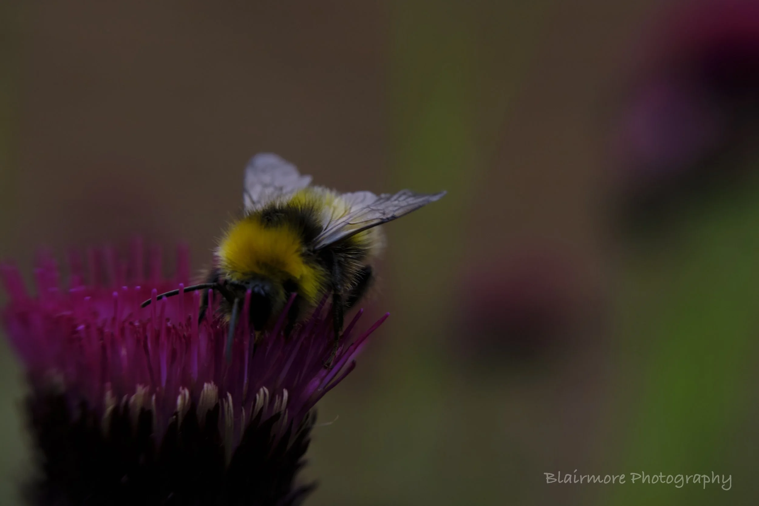 DSCF7434.jpg
