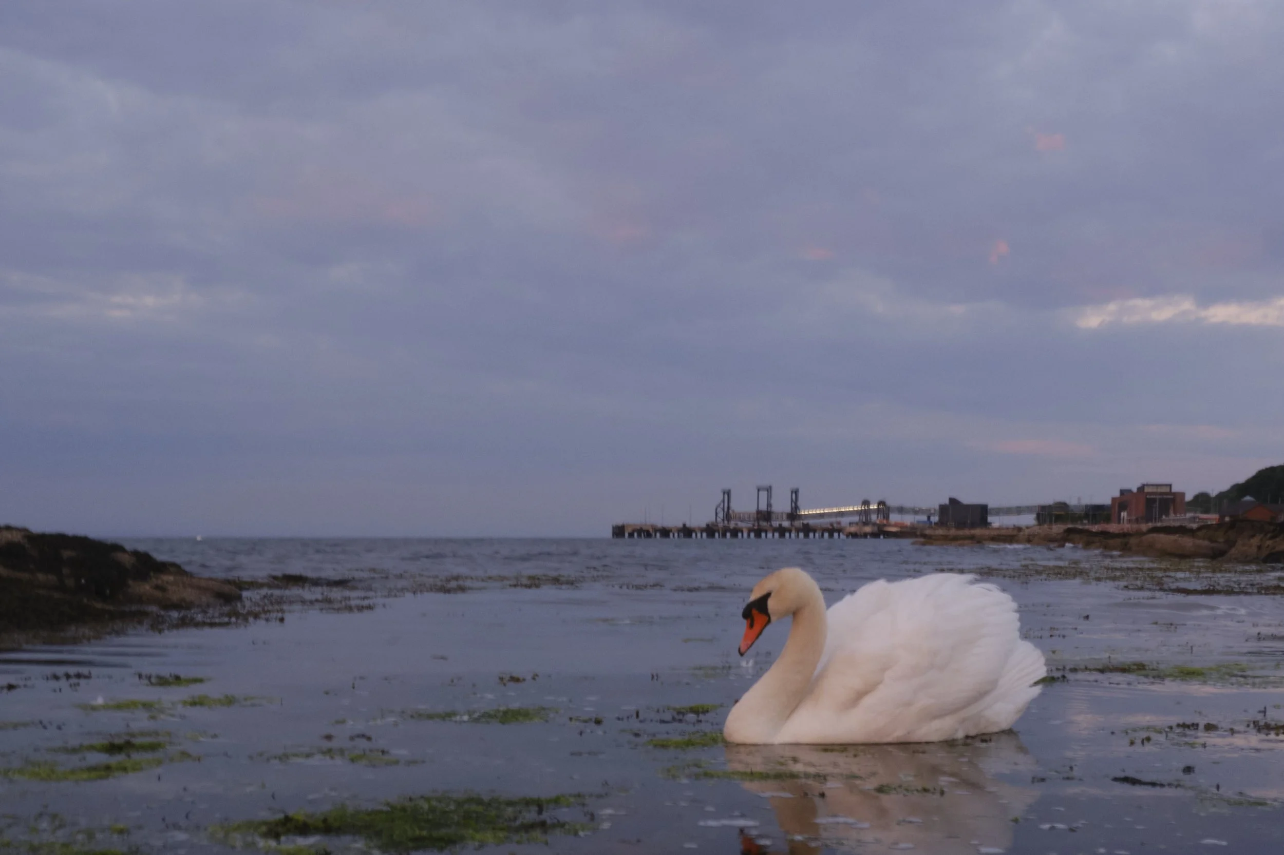 DSCF7619.jpg