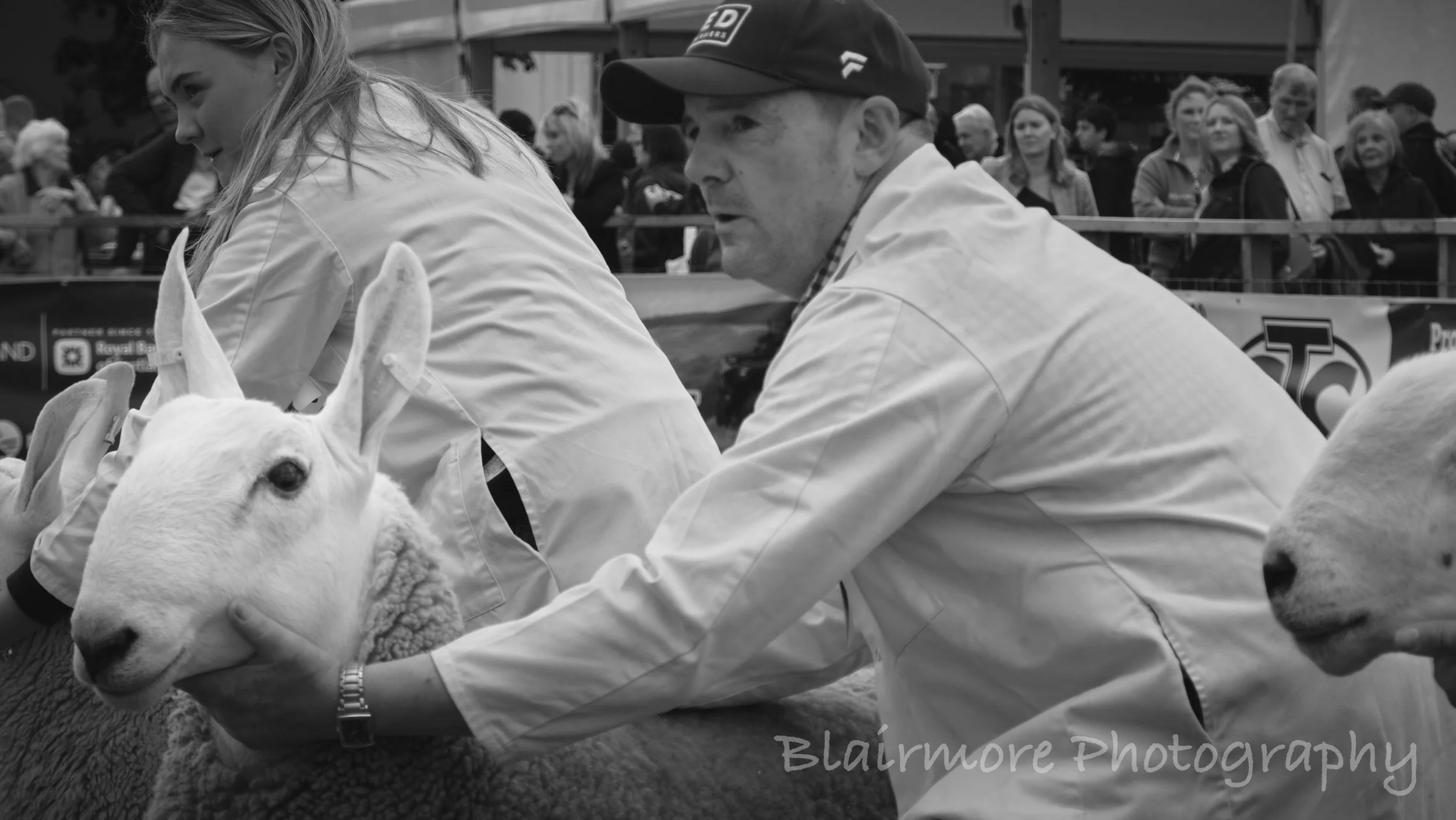 DSCF8193.jpg